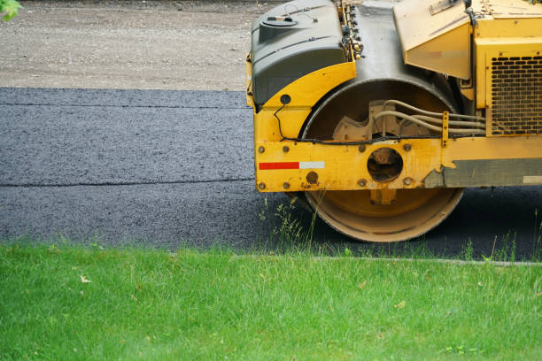 Best Driveway Snow Removal Preparation  in Scotts Hill, TN